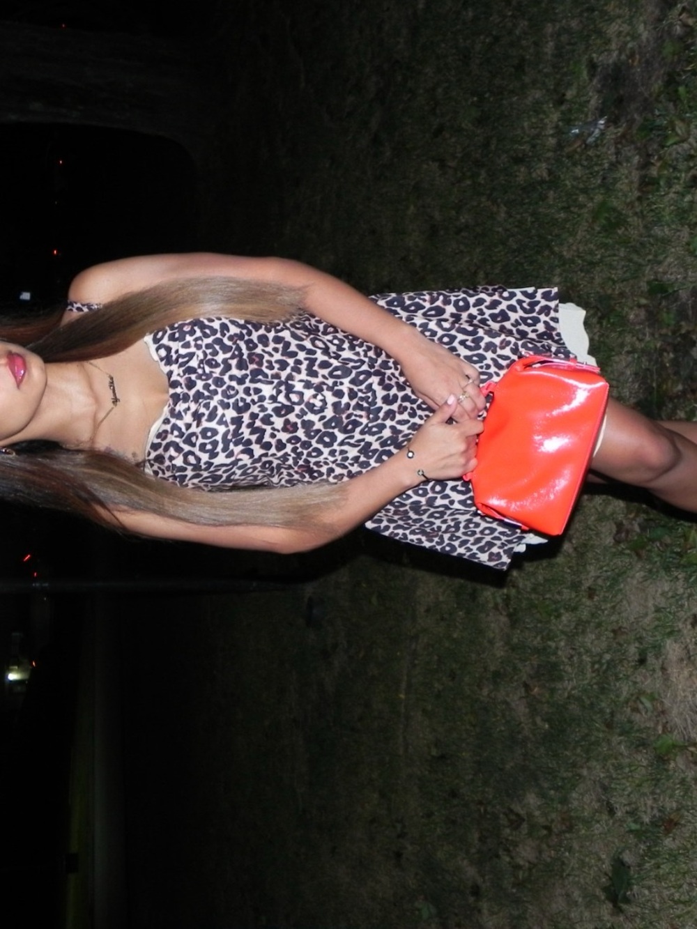 Leopard Print Mini Dress